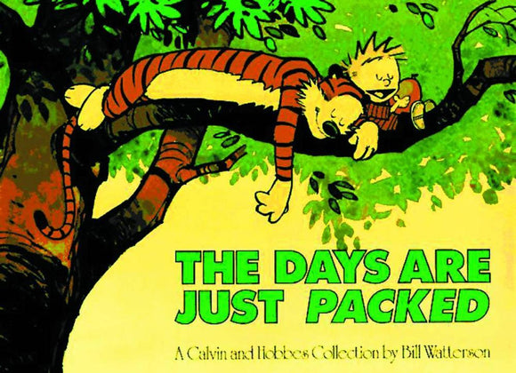 CALVIN & HOBBES DAYS ARE JUST PACKED SC NEW PTG