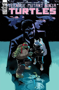 TMNT ONGOING #119 CVR A NELSON DANIEL