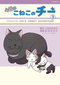 CHI SWEET ADVENTURES GN VOL 03