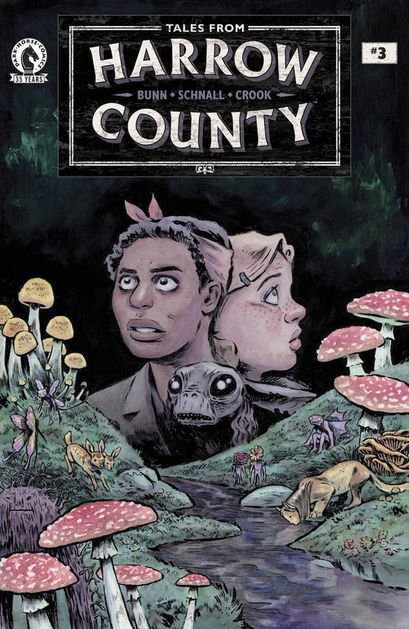 TALES FROM HARROW COUNTY FAIR FOLK #3 CVR A SCHNALL (OF 4)