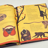 Mad About Monkeys SC
