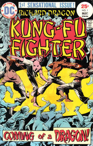 Richard Dragon, Kung-Fu Fighter 1975 #1 - back issue - $15.00