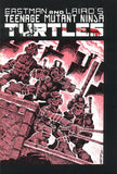 Teenage Mutant Ninja Turtles 1984 #1 - CGC 8.5 - $14000.00