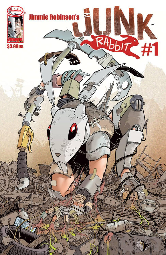 JUNK RABBIT #1 CVR A ROBINSON