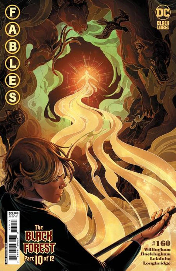 FABLES #160 CVR A CORINNE REID (OF 162)