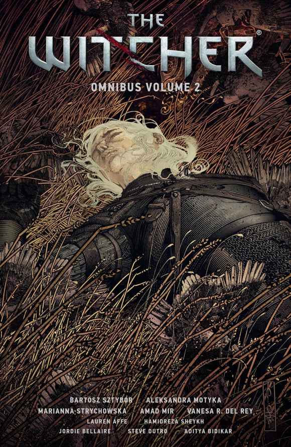 THE WITCHER OMNIBUS VOLUME 2 TP