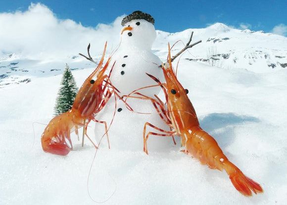 SHRIMP BUILDING A SNOWMAN CARD BY SHRIMP WHISPERER AK
