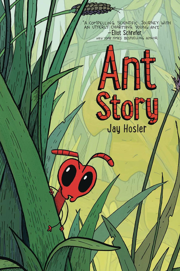 ANT STORY GN