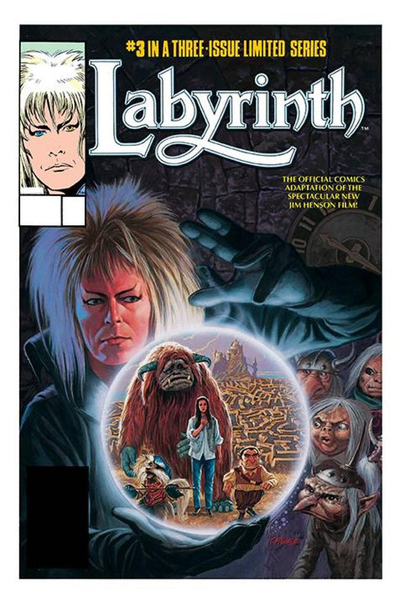 JIM HENSONS LABYRINTH ARCHIVE ED #3 CVR A PALMER OF 3