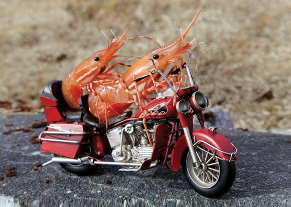 Biker Shrimp Greeting Card by Shrimp Whisperer AK