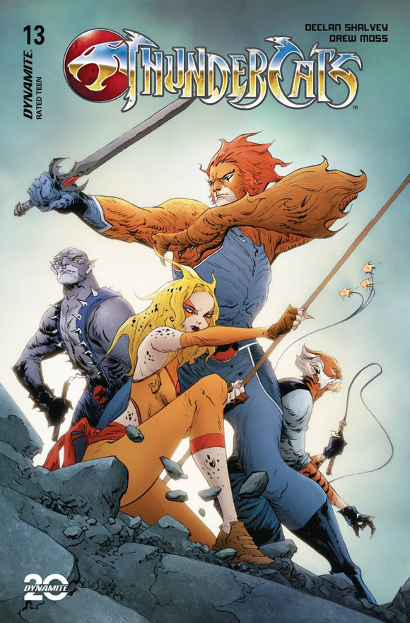 THUNDERCATS #13 CVR C LEE AND CHUNG