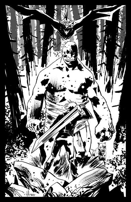 LOST FANTASY #1 CVR C INC 1:15 LUCA CASALANGUIDA BANDW VAR 1:15 INCV