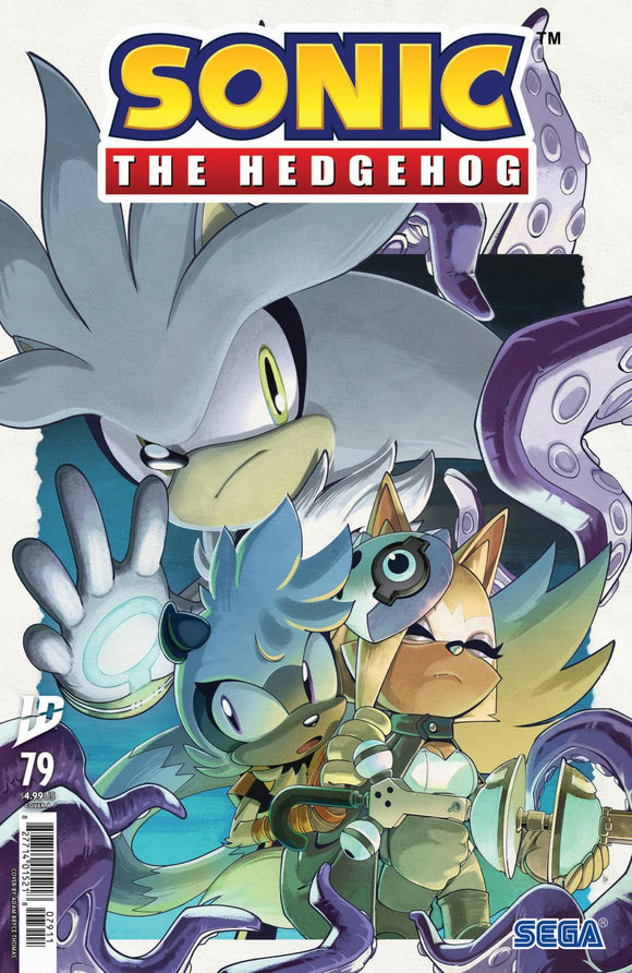 SONIC THE HEDGEHOG #79 COVER A THOMAS