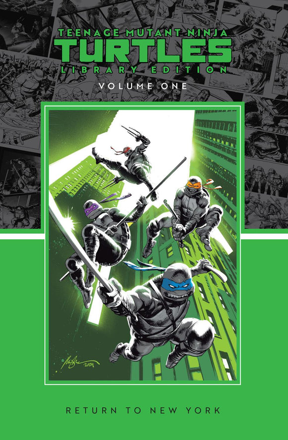 TEENAGE MUTANT NINJA TURTLES VOL 1 RETURN TO NEW YORK LIBRARY EDITION HC
