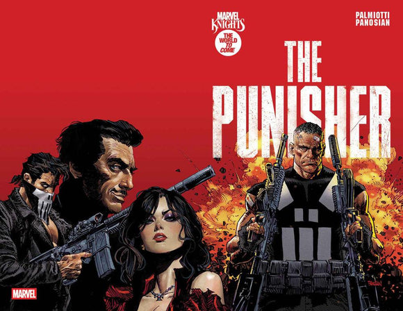MARVEL KNIGHTS PUNISHER #1 CVR A