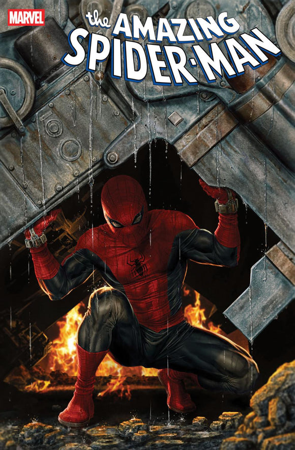 AMAZING SPIDER-MAN #14 LEE BERMEJO AMAZING VISIONS VAR CVR B