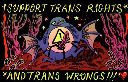 BOY ISLAND I SUPPORT TRANS RIGHTS AND TRANS WRONGS STICKER