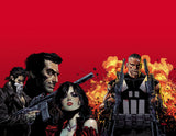 MARVEL KNIGHTS PUNISHER TP VOL 01