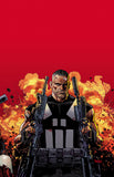 MARVEL KNIGHTS PUNISHER TP VOL 01