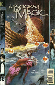 The Books of Magic 1994 #12 - back issue - $4.00