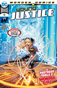 YOUNG JUSTICE #19 CVR A JOHN TIMMS