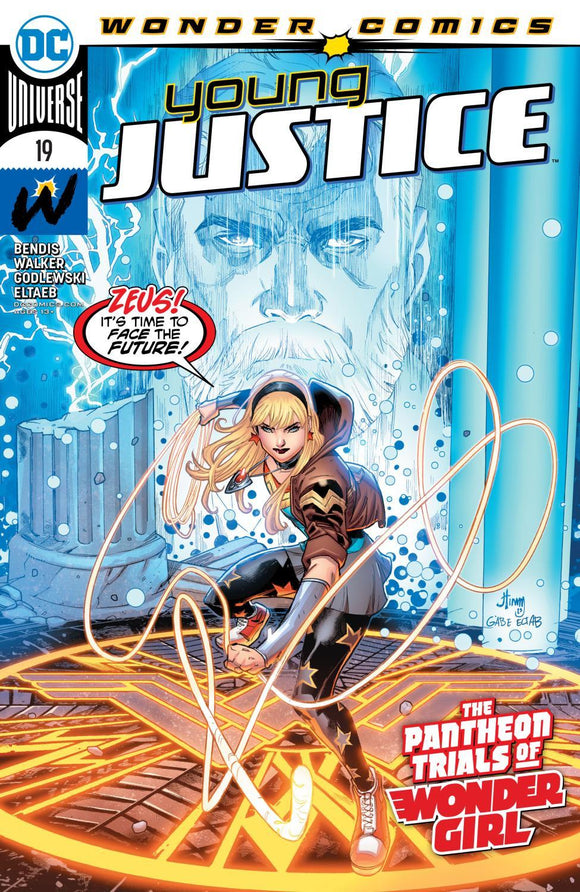 YOUNG JUSTICE #19 CVR A JOHN TIMMS