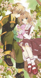 CARDCAPTOR SAKURA COLL ED HC VOL 04 (OF 9)