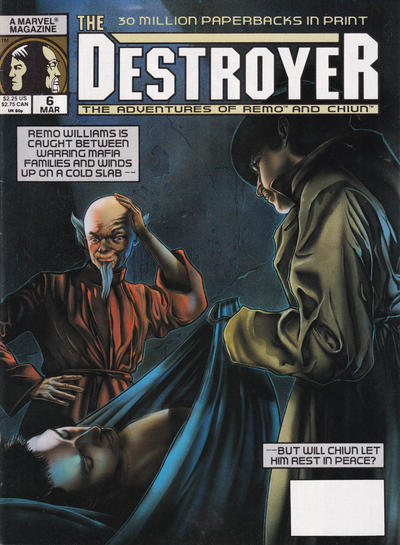 The Destroyer 1989 #6 - back issue - $3.00