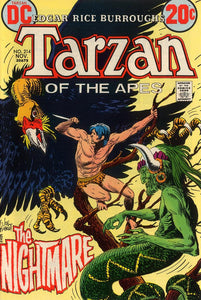 Tarzan 1972 #214 - back issue - $7.00