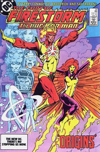 The Fury of Firestorm #22 Direct ed. - back issue - $3.00