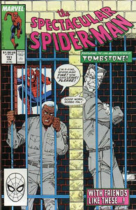 The Spectacular Spider-Man 1976 #151 Direct ed. - back issue - $4.00