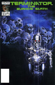 The Terminator: The Burning Earth 1990 #4 Direct ed. - back issue - $4.00