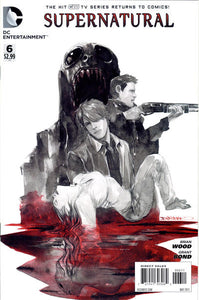 Supernatural 2011 #6 - back issue - $6.00